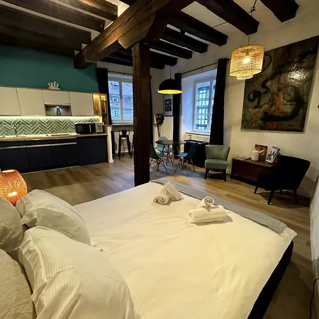 Les Schwendi En Hypercentre Apartment *