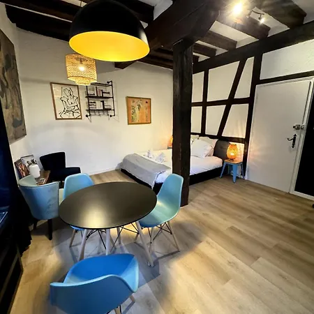 Les Schwendi En Hypercentre Apartment *