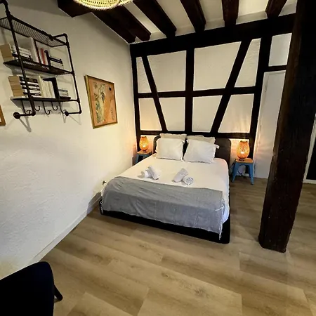 Apartment Les Schwendi En Hypercentre Colmar