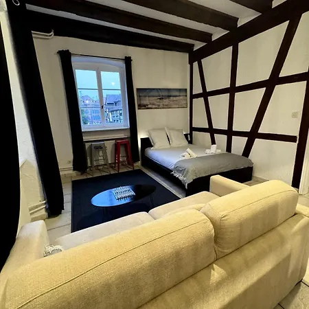 Les Schwendi En Hypercentre Apartment Colmar