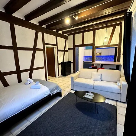 Les Schwendi En Hypercentre Apartment *