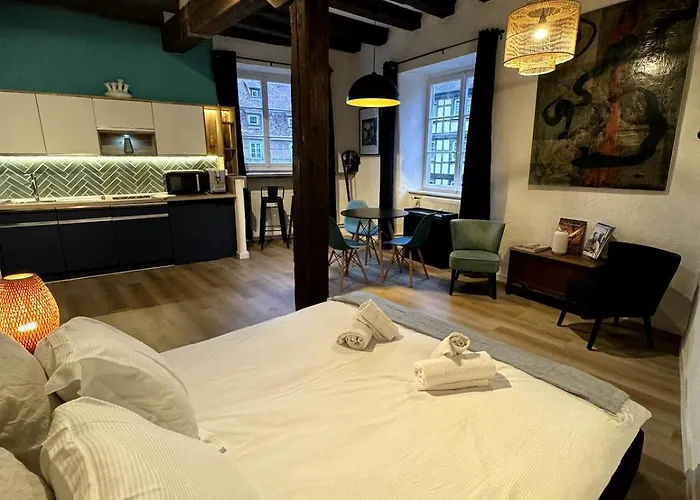 Les Schwendi En Hypercentre Apartment *