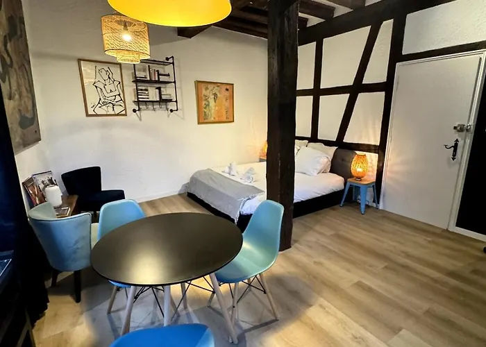 Les Schwendi En Hypercentre Apartment *