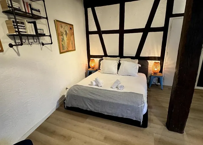 Apartment Les Schwendi En Hypercentre Colmar