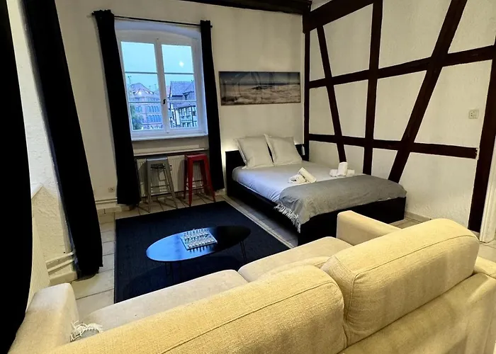 Les Schwendi En Hypercentre Apartment Colmar