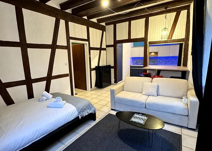 Les Schwendi En Hypercentre Apartment *